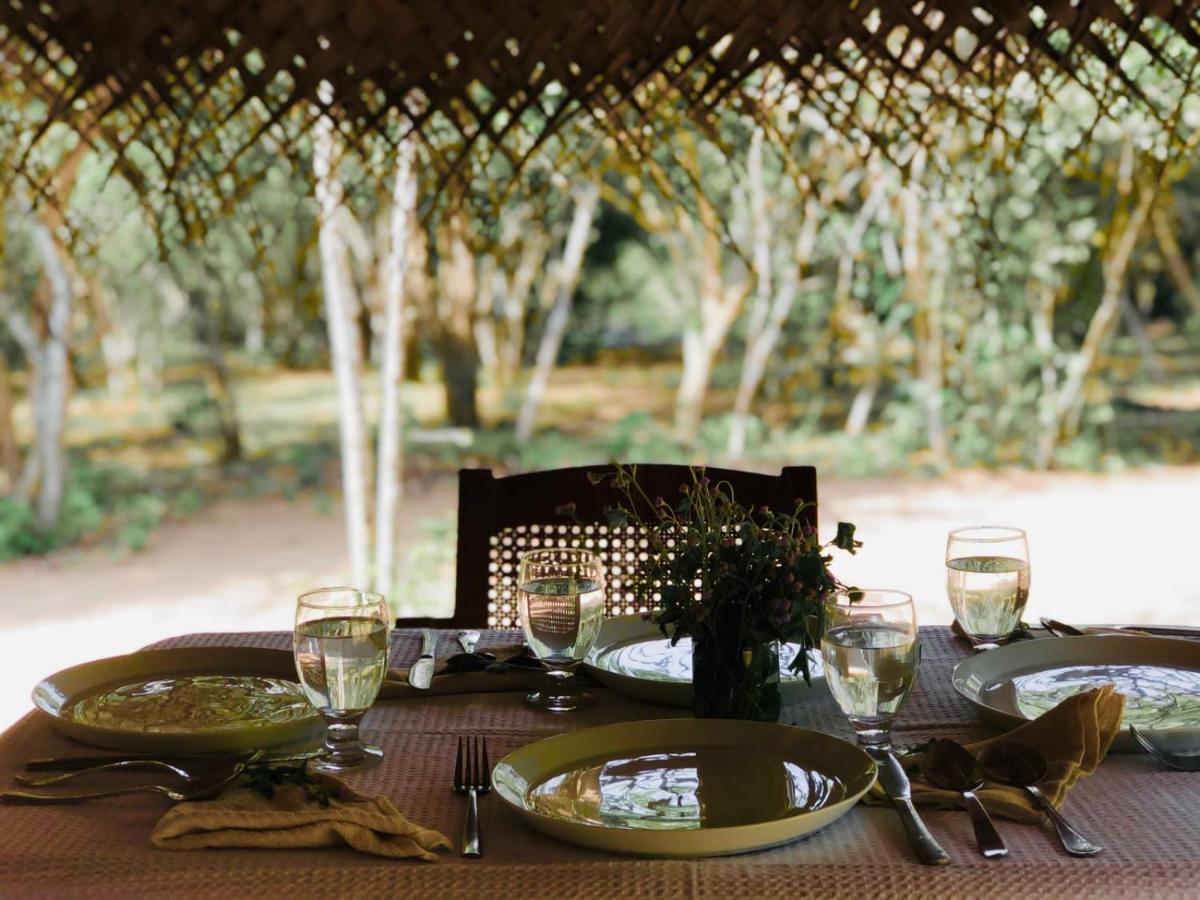 Eden Yala Hotel Exterior photo