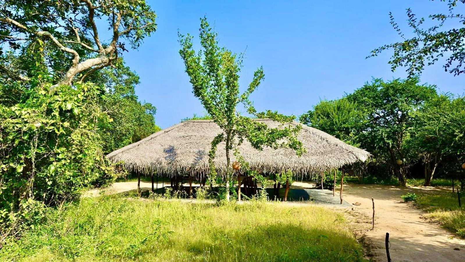 Eden Yala Hotel Exterior photo